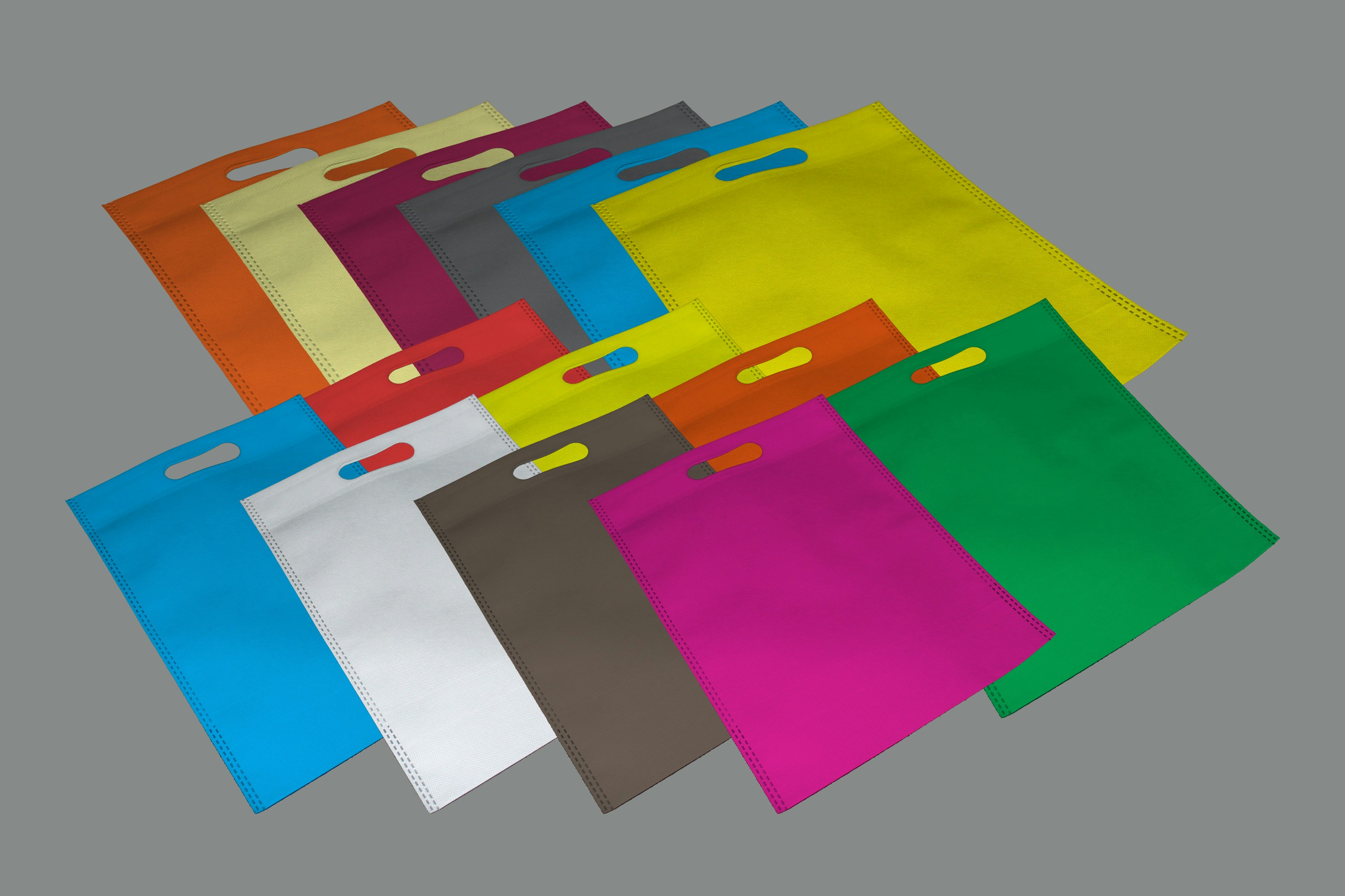 Premium Non-Woven Bags Collection